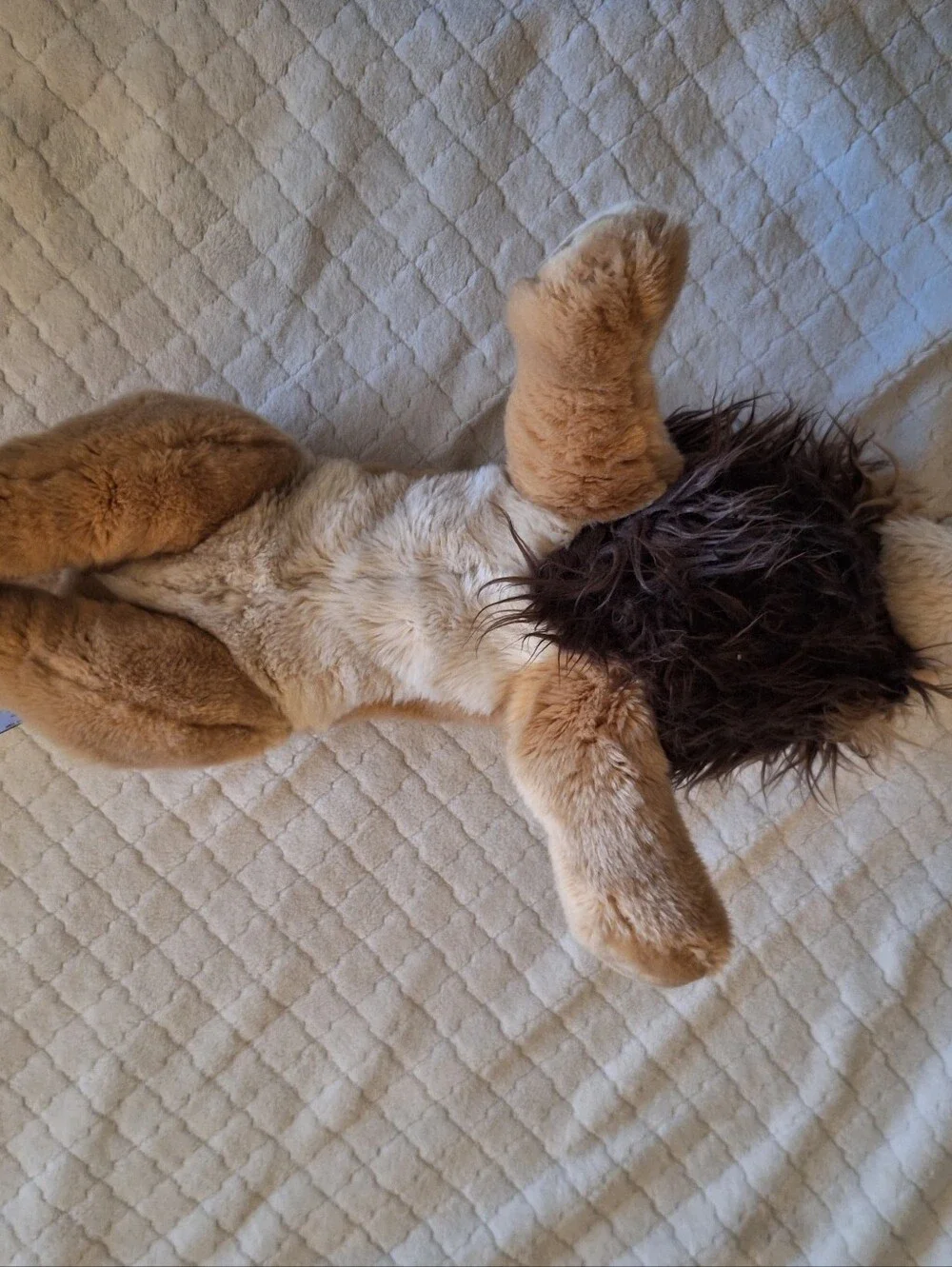 FAO Schwarz /Toys R Us Realistic Natural Looking Lion Plush W Mane 20